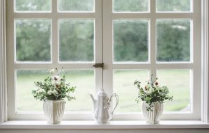white-2563976_1280