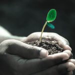 Piante geneticamente modificate: tra miti, opportunità e futuro dell’agricoltura