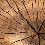 Riqualificazione architettonica e sostenibilità: il ruolo del legno nei cantieri edili
